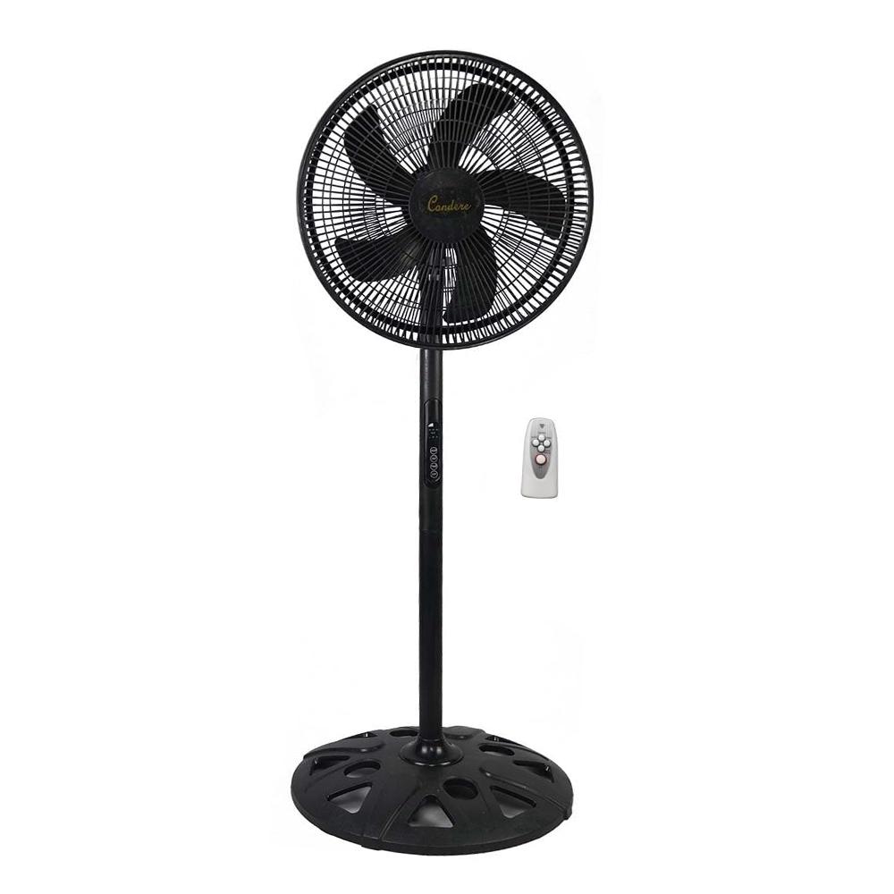 Fans